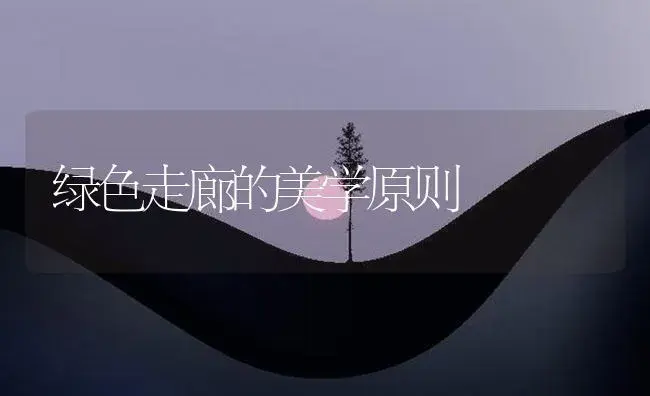 君子兰叶片打褶是怎么回事? | 植物知识