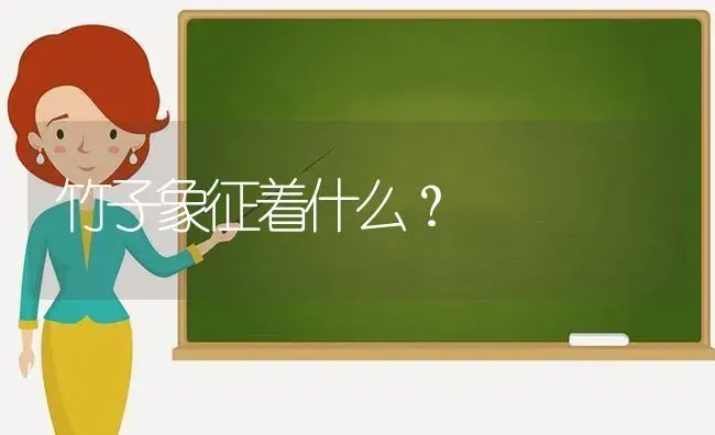 竹子象征着什么？ | 植物问答