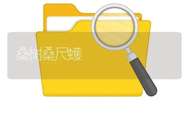 桑树桑尺蠖 | 植物知识