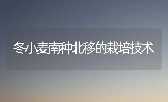 冬小麦南种北移的栽培技术 | 植物科普