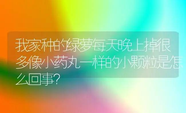 我家种的绿萝每天晚上掉很多像小药丸一样的小颗粒是怎么回事？ | 植物问答