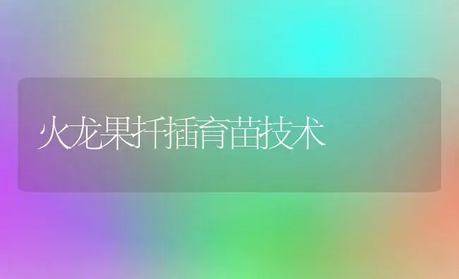 火龙果扦插育苗技术 | 植物百科