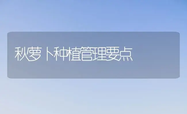 秋萝卜种植管理要点 | 植物科普