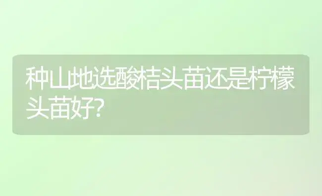 种山地选酸桔头苗还是柠檬头苗好？ | 植物科普