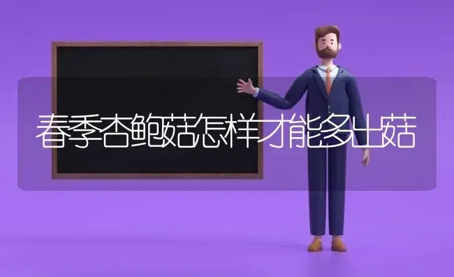 春季杏鲍菇怎样才能多出菇 | 植物科普