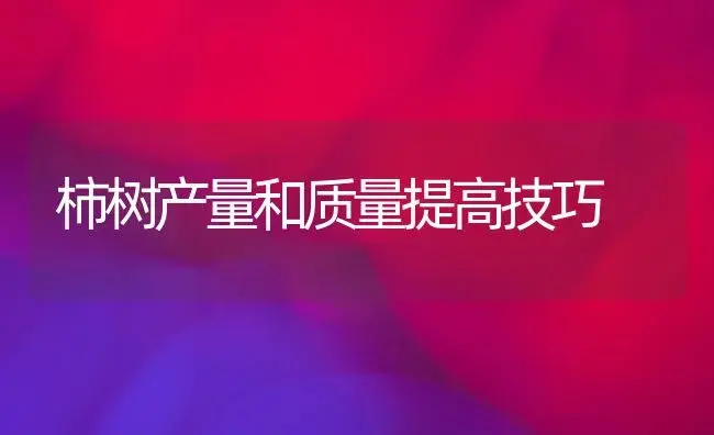 柿树产量和质量提高技巧 | 植物科普