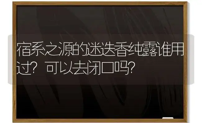 宿系之源的迷迭香纯露谁用过？可以去闭口吗？ | 植物问答