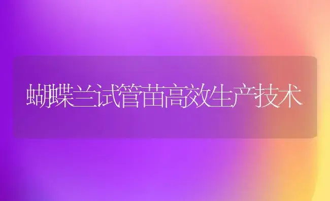玉米播种如何省种子 | 植物科普