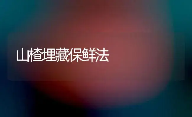 山楂埋藏保鲜法 | 植物百科