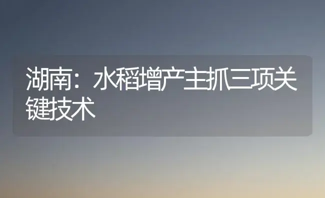 湖南：水稻增产主抓三项关键技术 | 植物科普