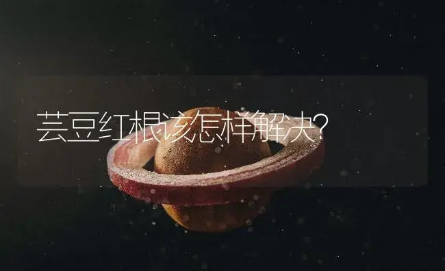芸豆红根该怎样解决？ | 植物百科