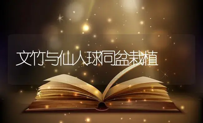 文竹与仙人球同盆栽植 | 植物知识