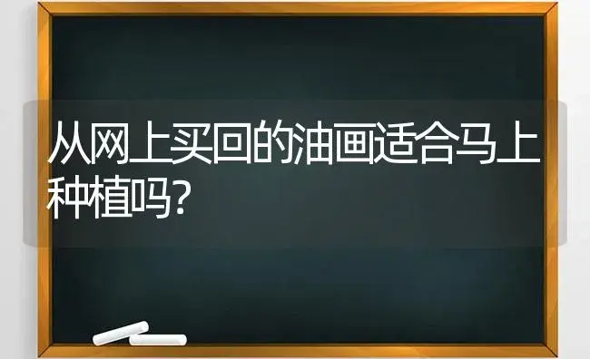 从网上买回的油画适合马上种植吗？ | 植物问答