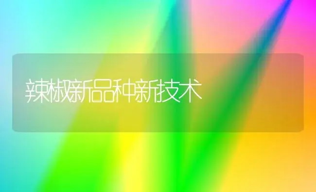 辣椒新品种新技术 | 植物科普