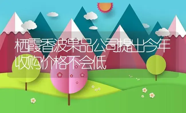 栖霞香波果品公司提出今年收购价格不会低 | 植物资料