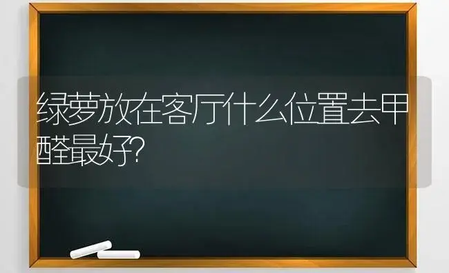 绿萝放在客厅什么位置去甲醛最好？ | 植物问答