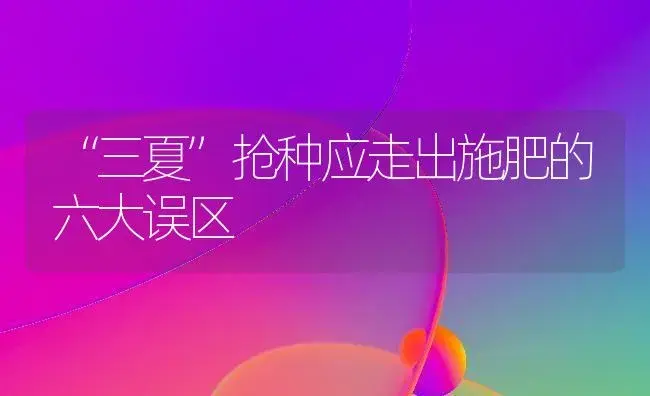 天然鲜竹笋如何加工 | 植物科普