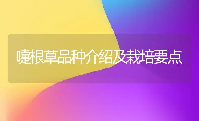 嚏根草品种介绍及栽培要点 | 植物科普