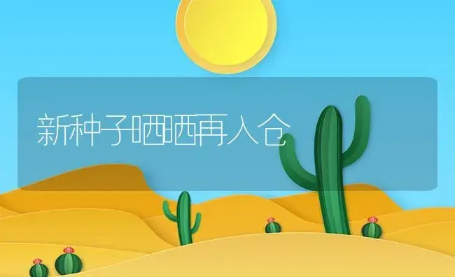 新种子晒晒再入仓 | 植物资料