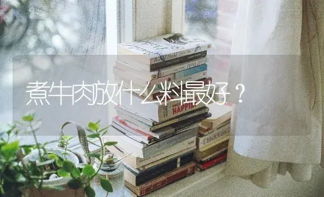 煮牛肉放什么料最好？ | 植物问答