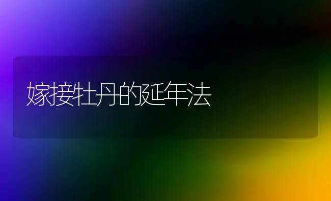 嫁接牡丹的延年法 | 植物科普