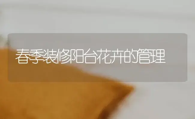 春季装修阳台花卉的管理 | 植物科普