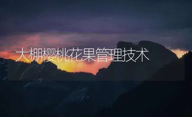 大棚樱桃花果管理技术 | 植物百科