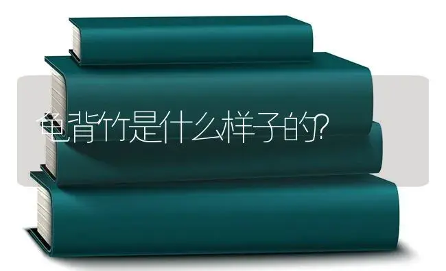 龟背竹是什么样子的？ | 植物问答