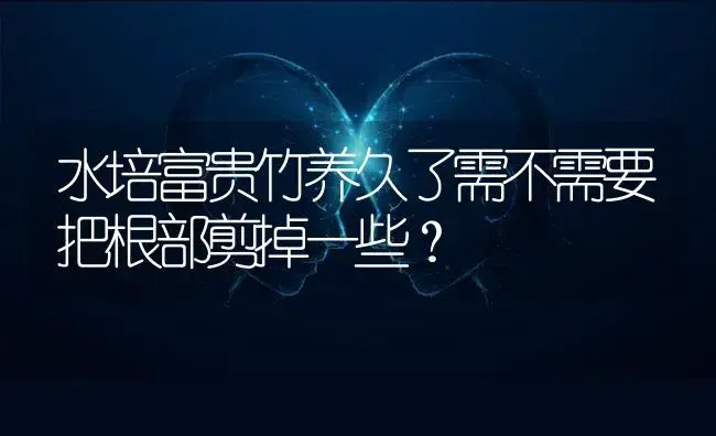 水培富贵竹养久了需不需要把根部剪掉一些？ | 植物问答