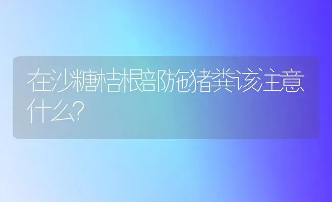 在沙糖桔根部施猪粪该注意什么？ | 植物科普