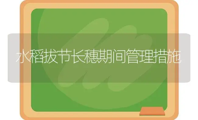 水稻拔节长穗期间管理措施 | 植物科普