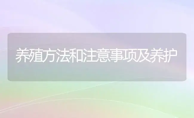 养殖方法和注意事项及养护 | 植物问答