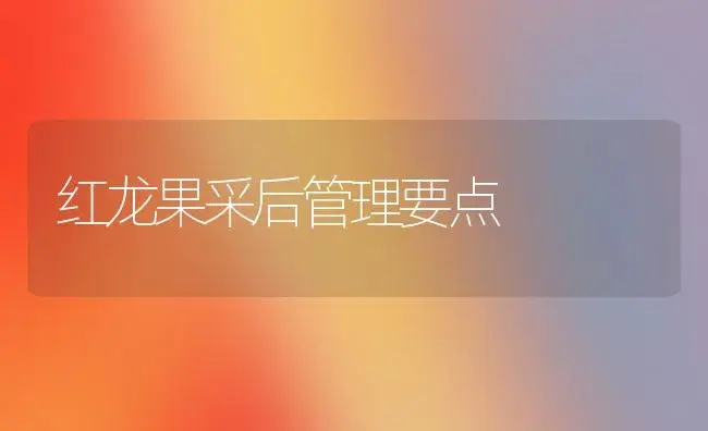 红龙果采后管理要点 | 植物科普