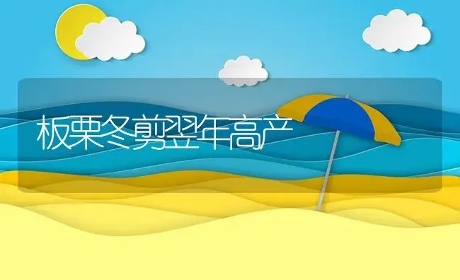 板栗冬剪翌年高产 | 植物资料