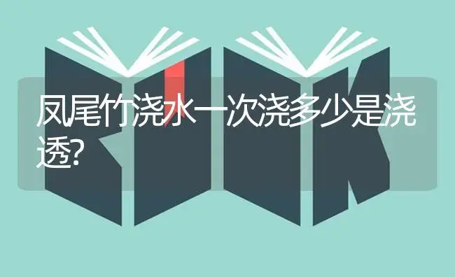 凤尾竹浇水一次浇多少是浇透？ | 植物问答