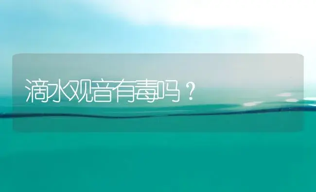 滴水观音有毒吗？ | 植物科普