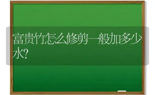 富贵竹怎么修剪一般加多少水？ | 植物问答