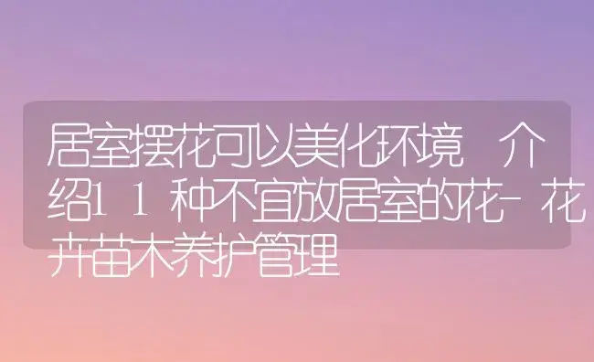 居室摆花可以美化环境 介绍11种不宜放居室的花-花卉苗木养护管理 | 植物知识