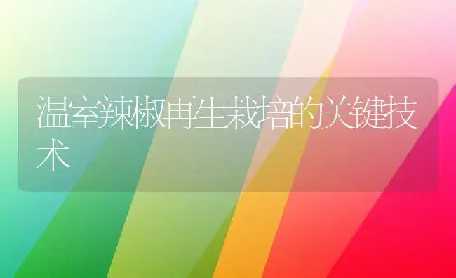 温室辣椒再生栽培的关键技术 | 植物百科