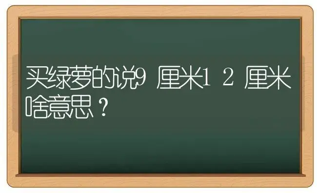 买绿萝的说9厘米12厘米啥意思？ | 植物问答