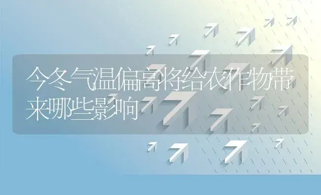 今冬气温偏高将给农作物带来哪些影响 | 植物资料