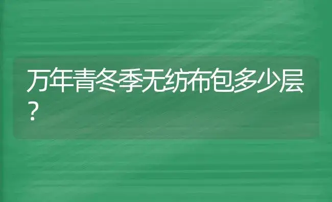 万年青冬季无纺布包多少层？ | 植物问答