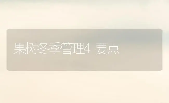怎样挑选唐菖蒲种球 | 植物科普