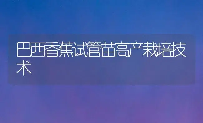 巴西香蕉试管苗高产栽培技术 | 植物科普