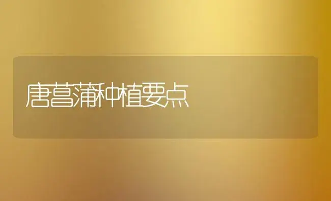 唐菖蒲种植要点 | 植物知识