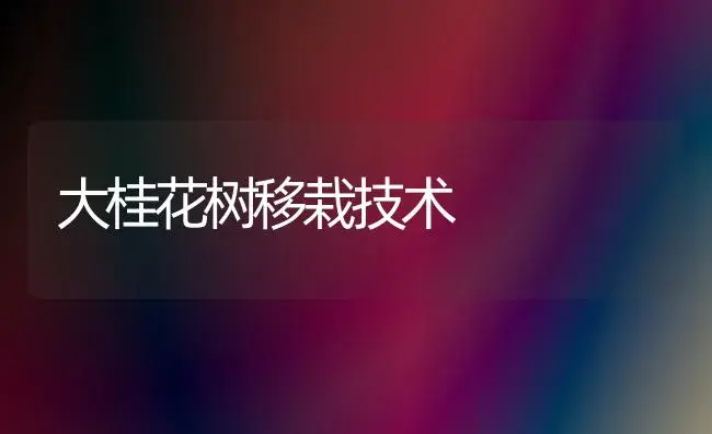 大桂花树移栽技术 | 植物知识
