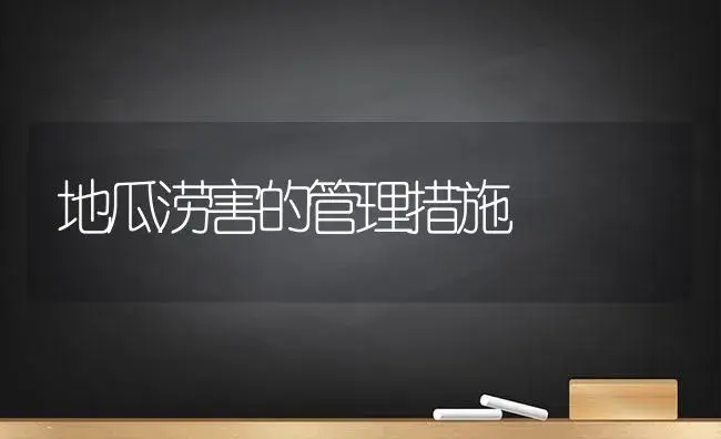 地瓜涝害的管理措施 | 植物科普