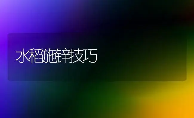 可以用淘米水、洗奶瓶水或茶叶水浇兰花吗 | 植物科普