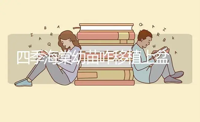 四季海棠幼苗咋移植上盆 | 植物知识