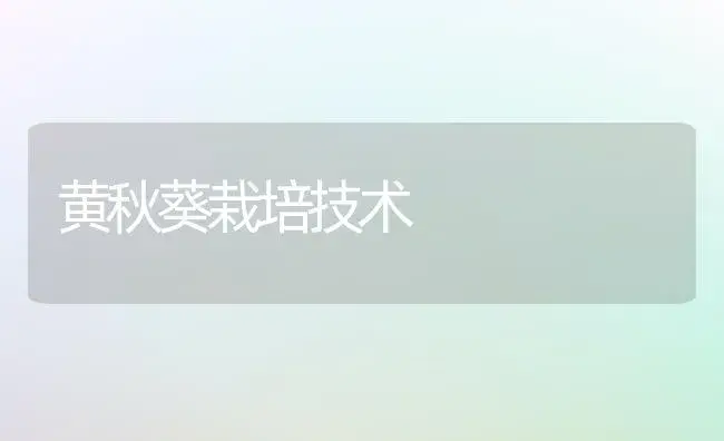 黄秋葵栽培技术 | 植物科普